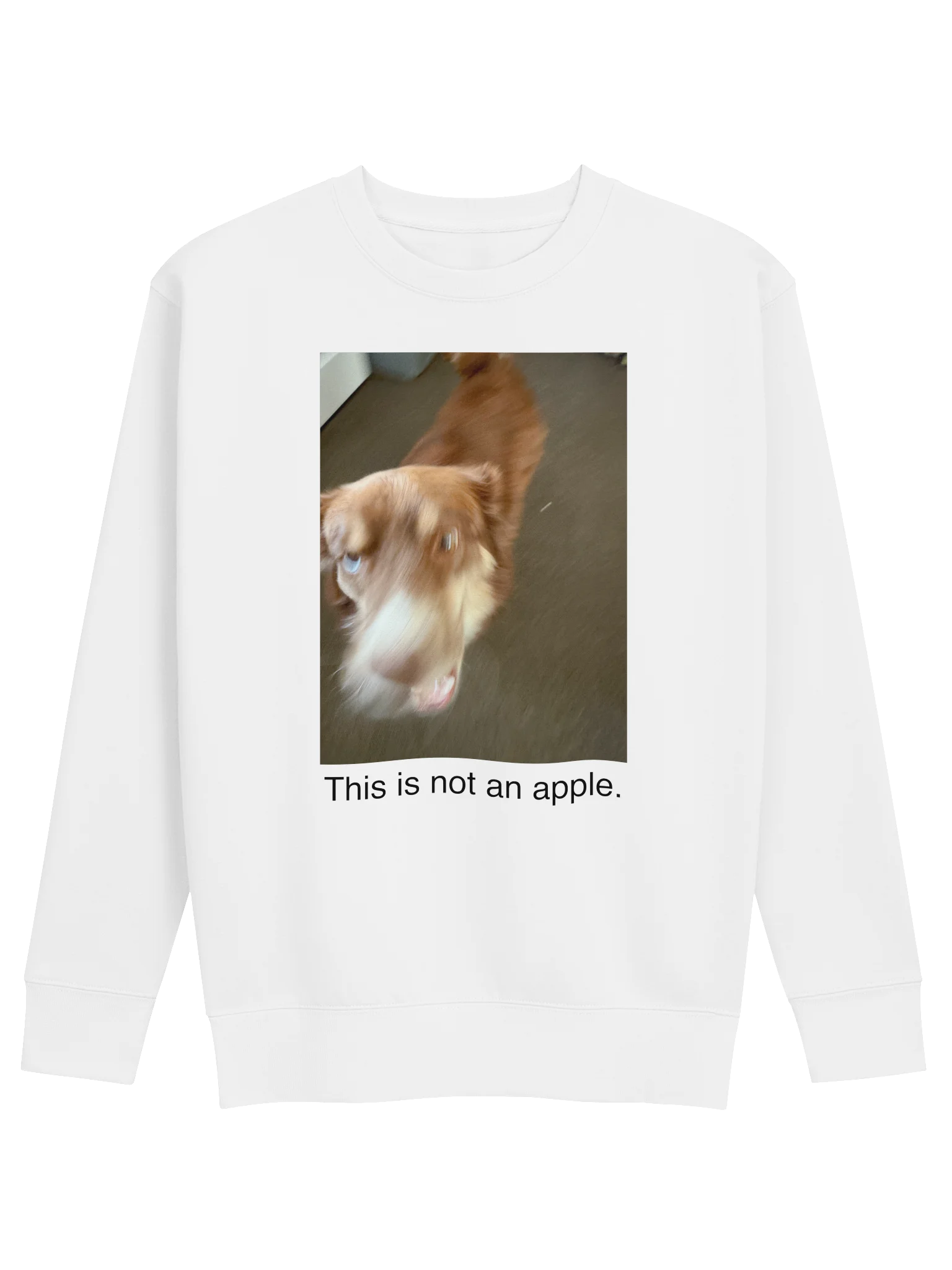 This is a dog. product image (1)
