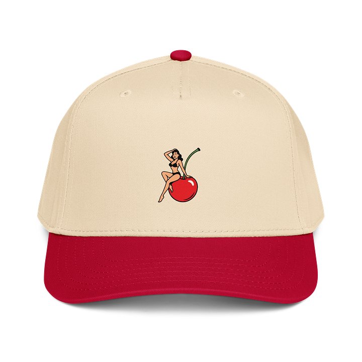 cherry cushion hat product image (1)