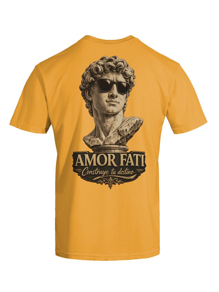 Amor Fati - Ama tu Destino product image (71)