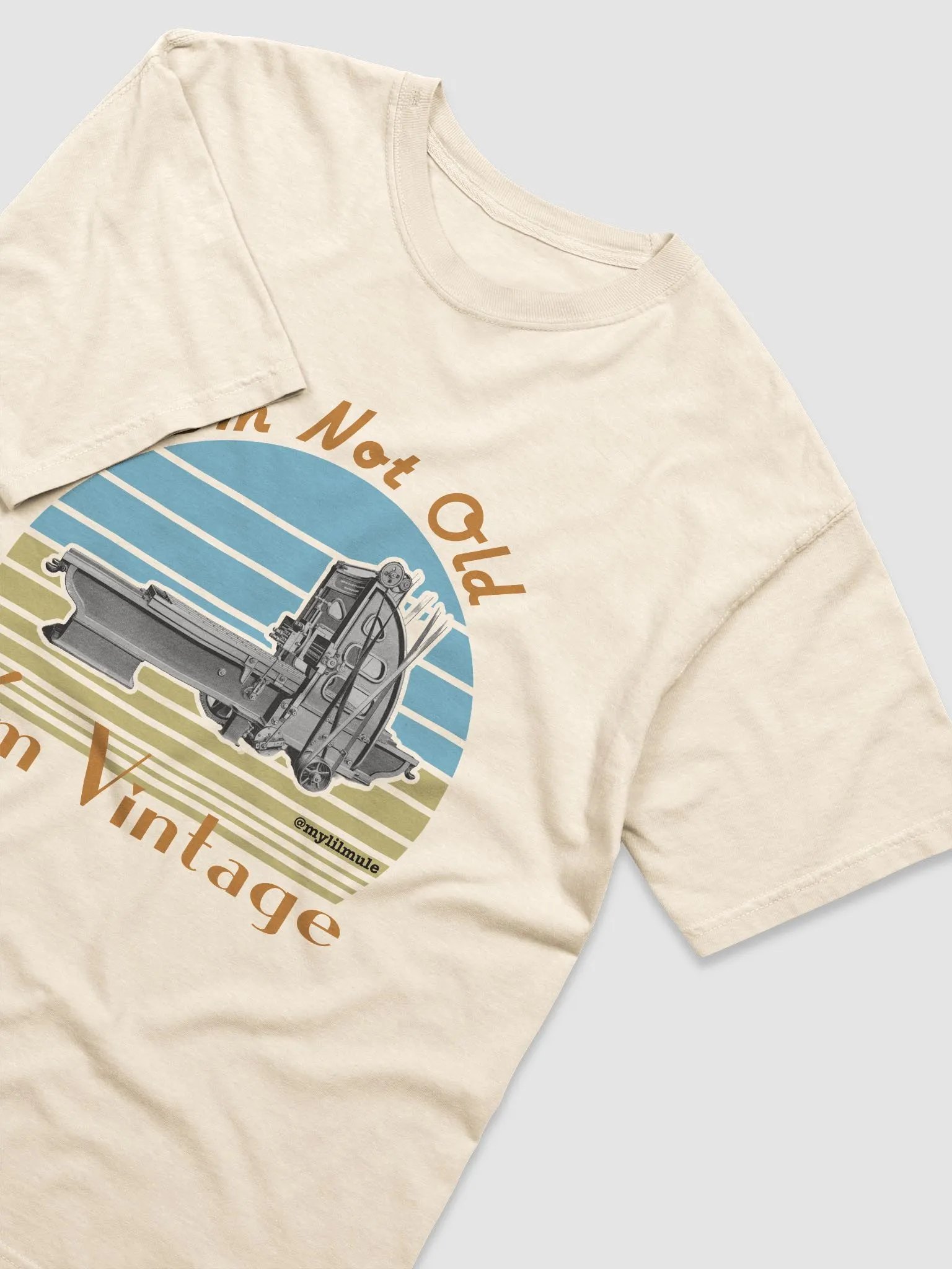 Heavyweight T-Shirt (Planer) product image (3)