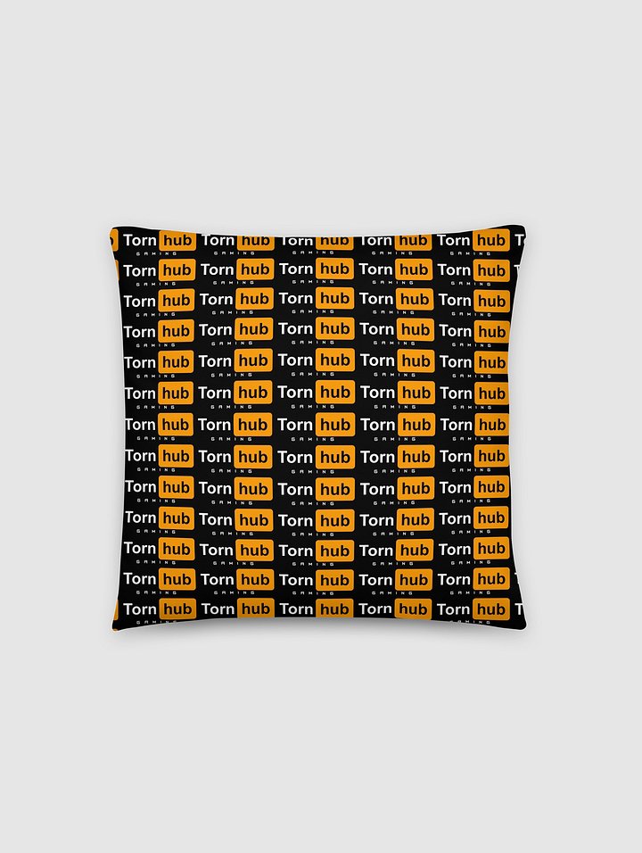Throw Pillow product image (2)