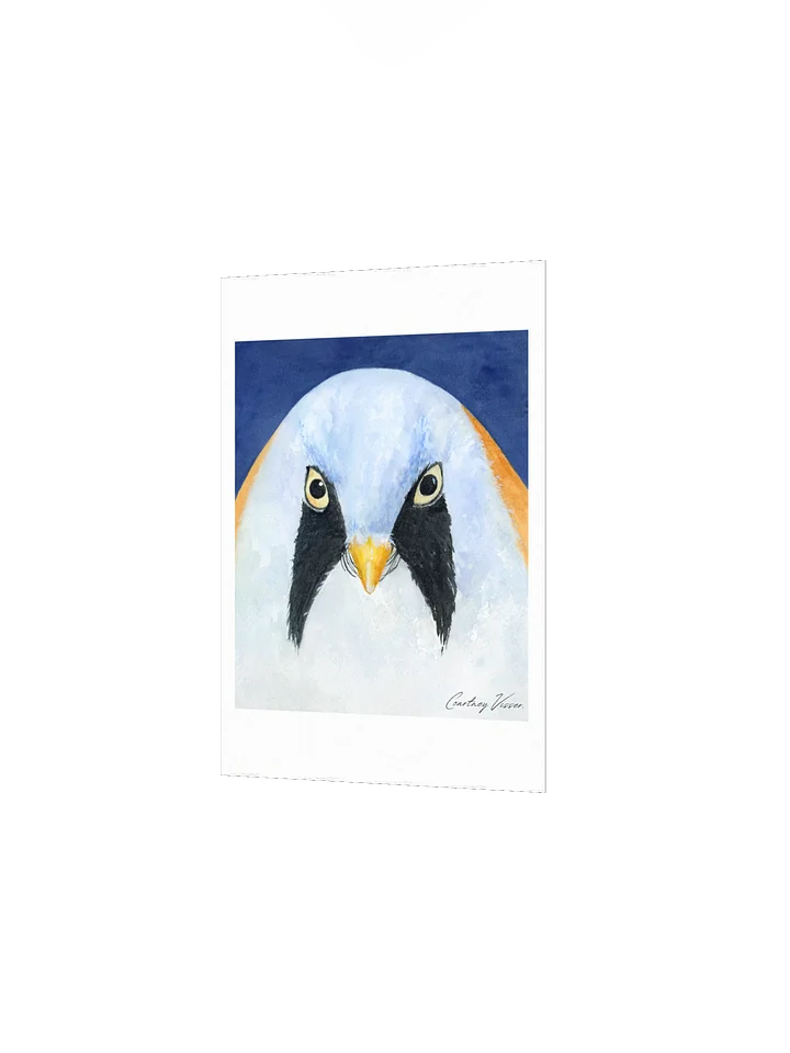 Bearded reedling print product image (2)