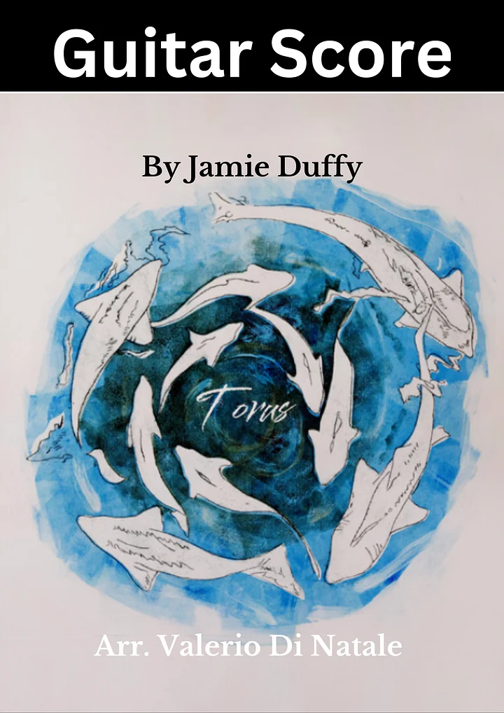 Torus by Jamie Duffy product image (1)