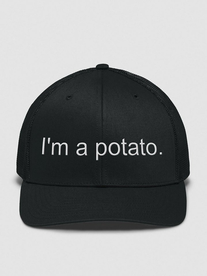 Potato Trucker Hat! product image (2)