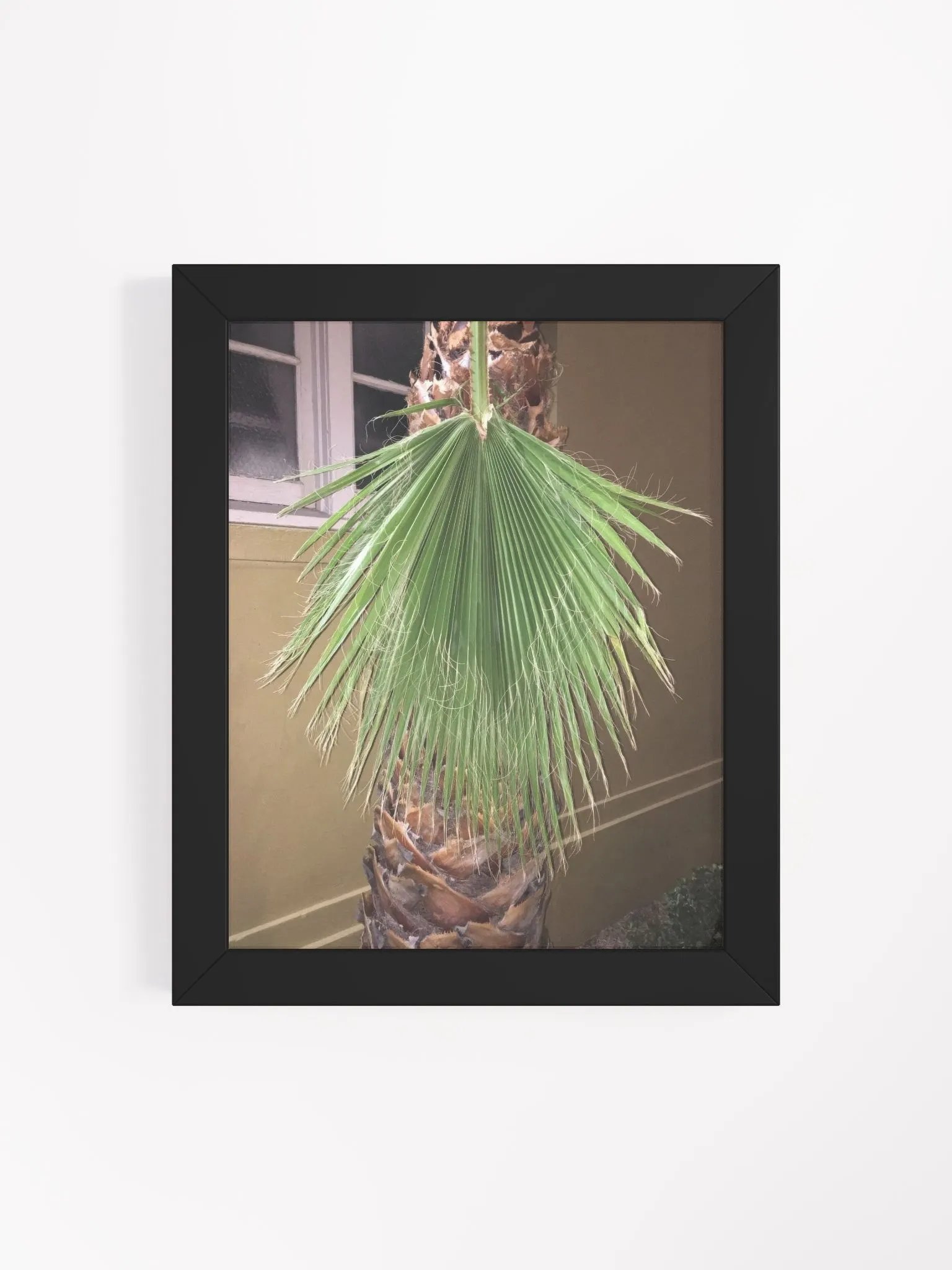 Lura product image (4)