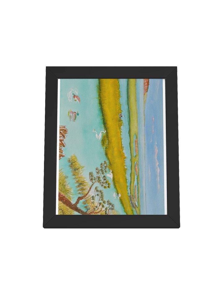 Marshland And Its Frequent Visitors product image (49)