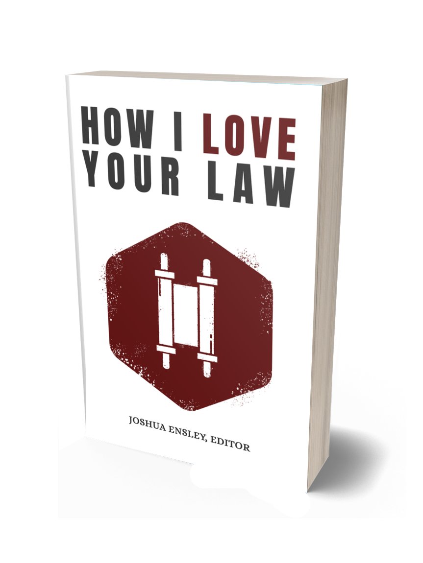 How I Love Your Law: Meditations on the Weekly Torah Portions product image (1)