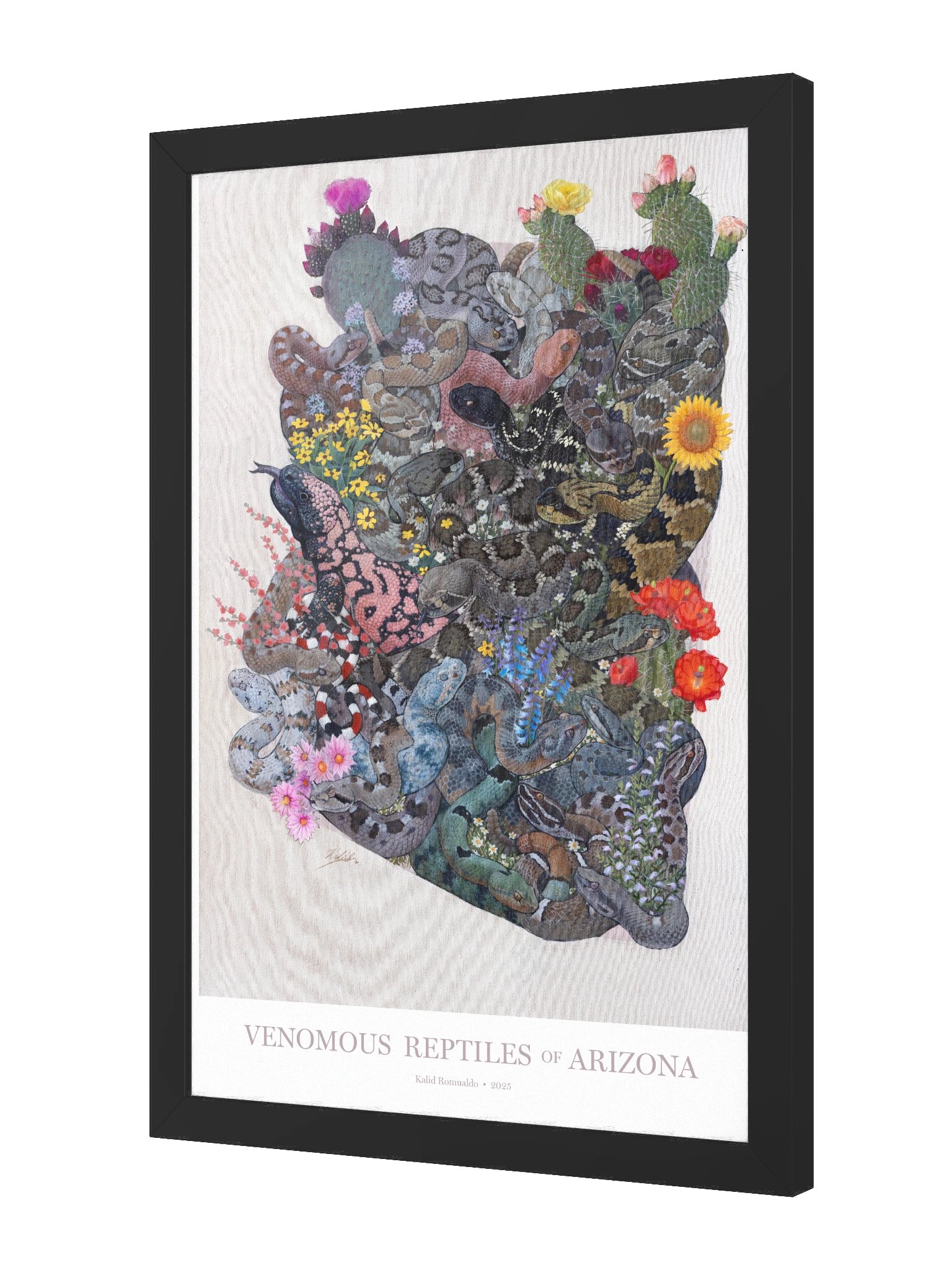 Framed Print – Venomous Reptiles of Arizona product image (2)