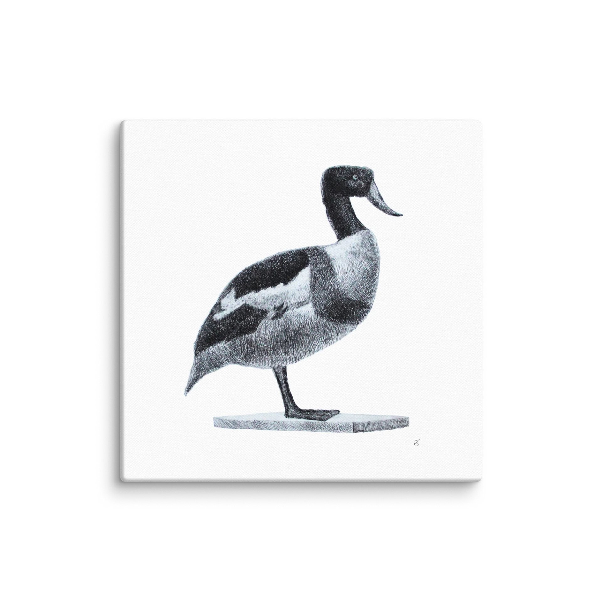 Blank Canvas: Unleash Your Artistic Vision - Duck product image (1)