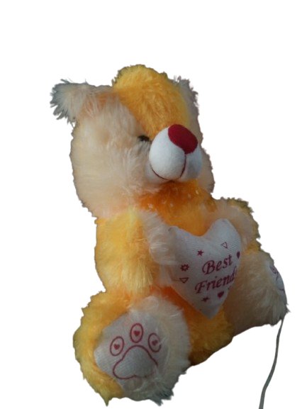 Teddy Bear product image (2)