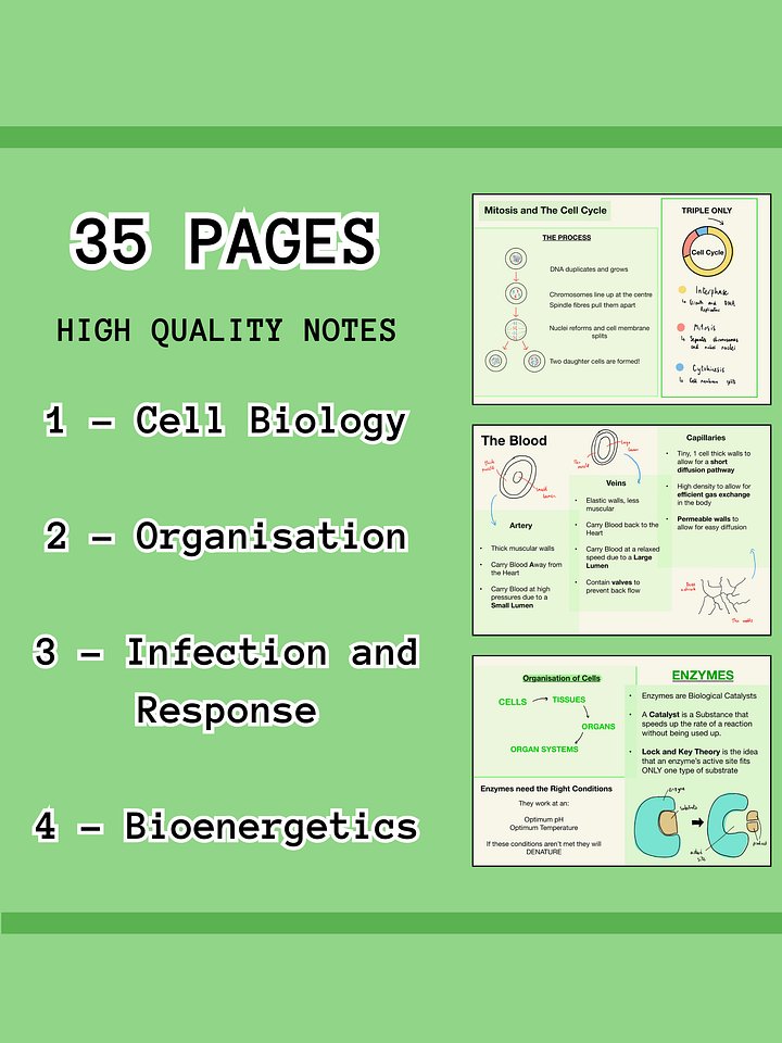 AQA GCSE Biology Paper 2 Revision Notes (25 Pages) | Revision Made Easy product image (2)