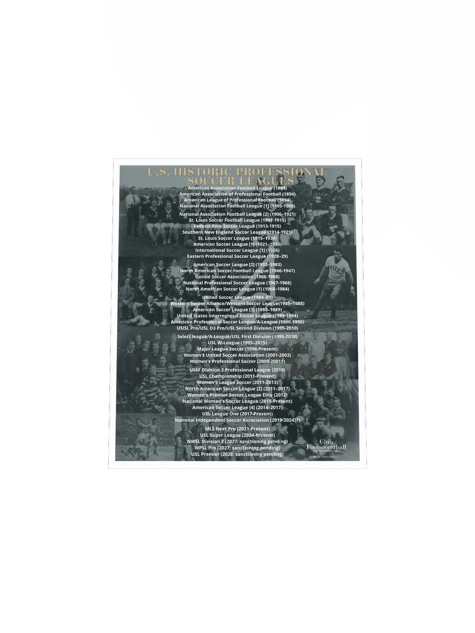 U.S. Historic Pro Leagues Poster product image (14)