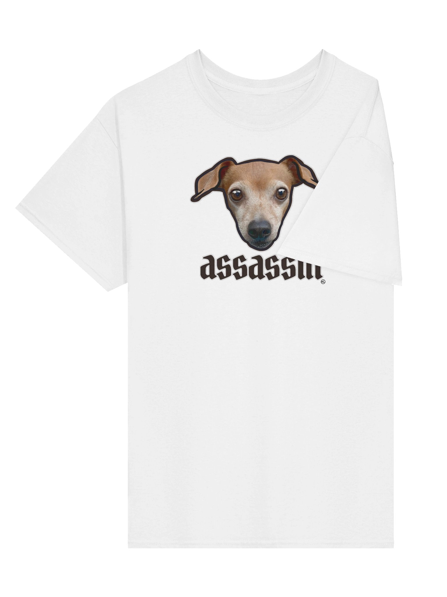 Assassin dog product image (4)