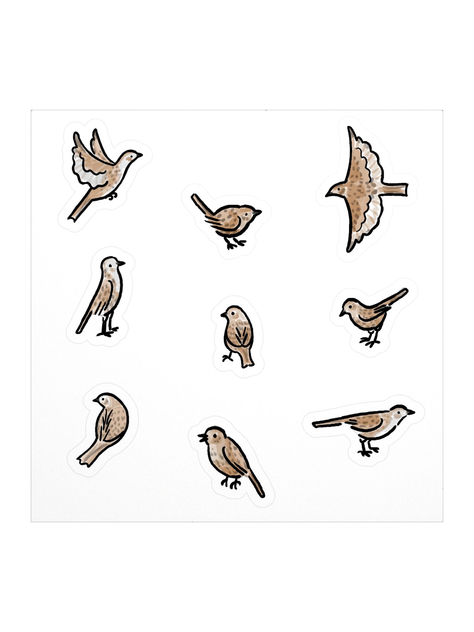 cute dunnock birds product image (1)