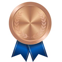 Bronze Member