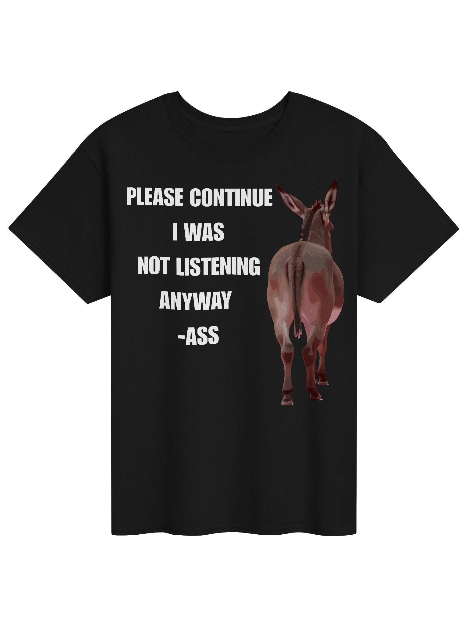 "Please Continue I Was Not Listening Anyway" Funny Sarcastic Humor T-Shirt product image (1)