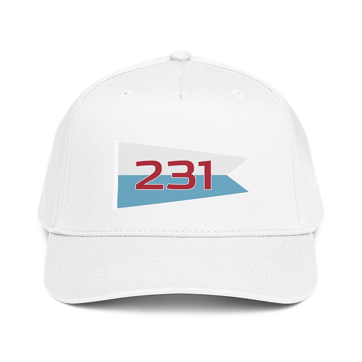 231 Pennant Cap product image (3)