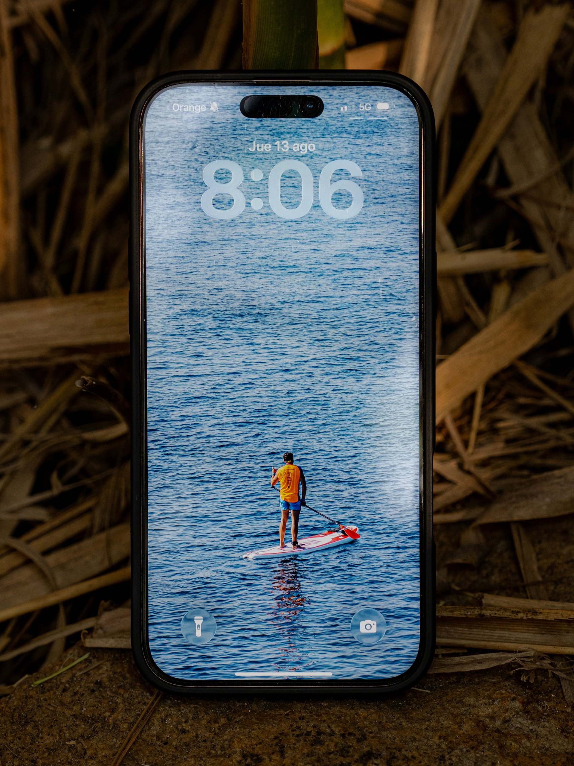 Pack Vida en el Mar - 6 Fondos de Pantalla product image (6)