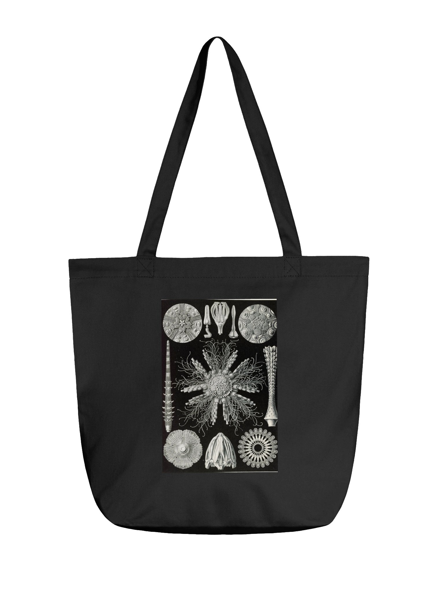 Sea Urchins Vintage Scientific Illustration Tote Bag product image (1)
