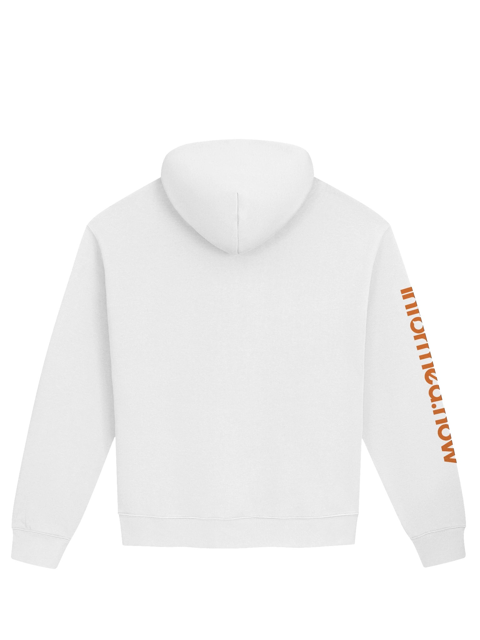 informed.now Unisex Premium Oversized Hoodie (White) product image (6)