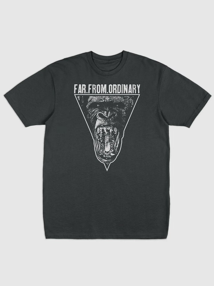 Far From Ordinary Heavyweight Tee product image (1)
