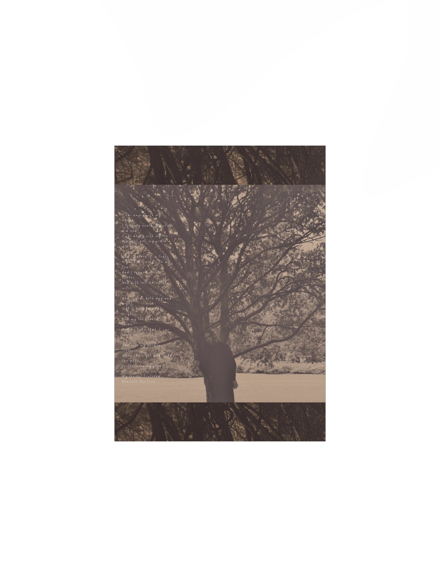 A Poison Tree poster product image (2)