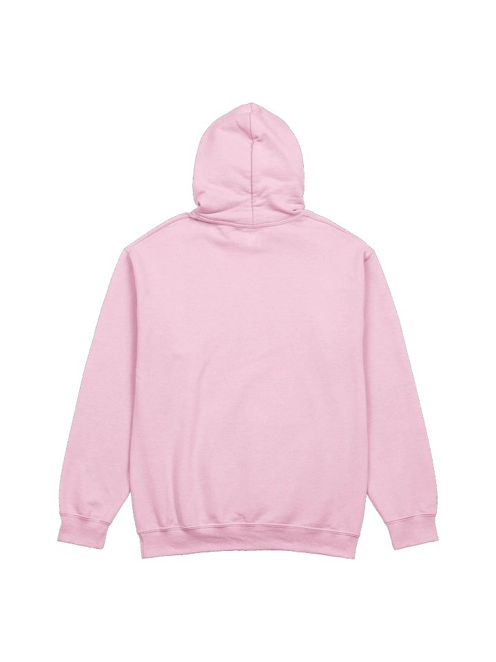 Swiftletgaming Hoodie product image (11)