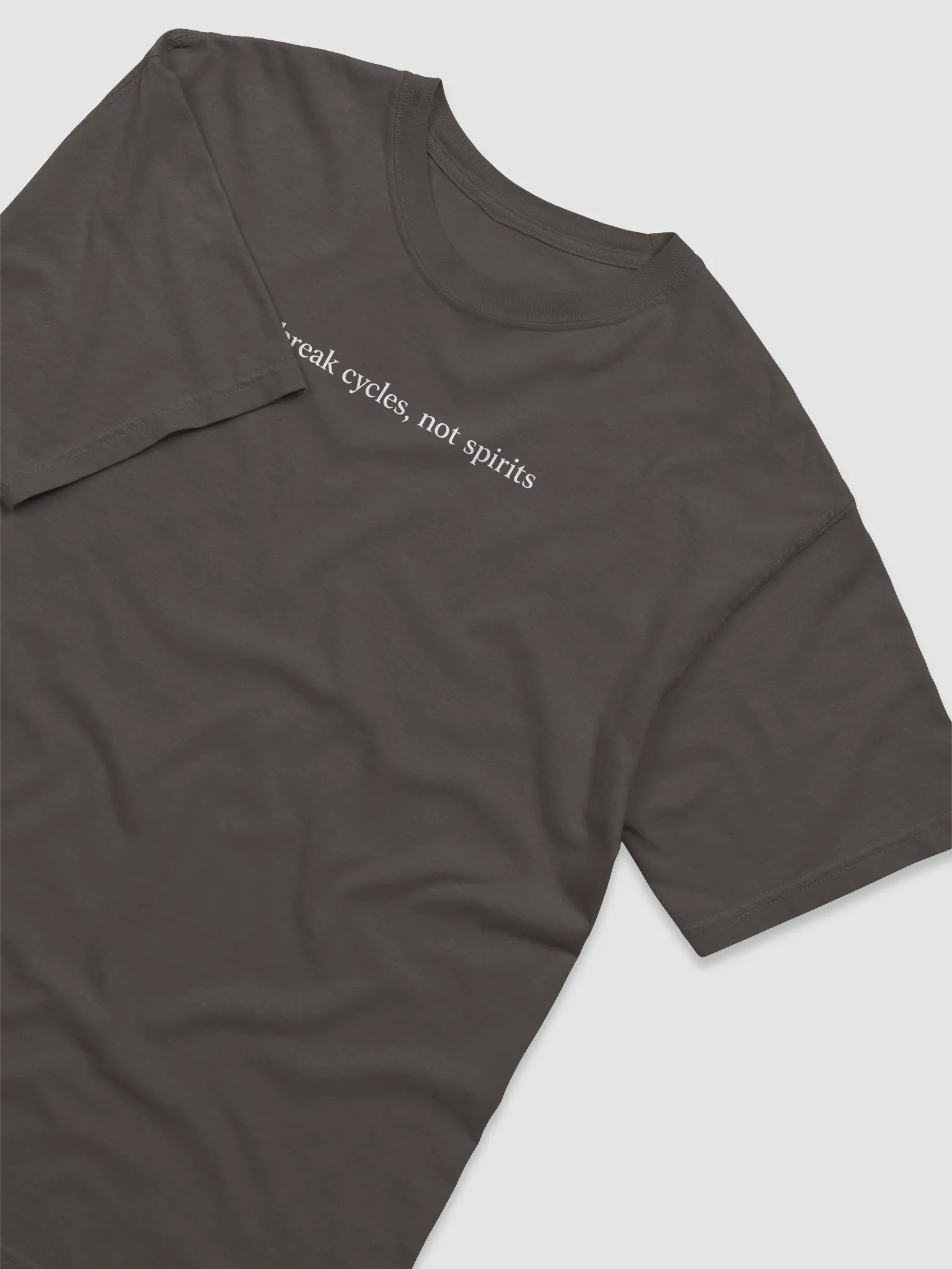 Break Cycles Not Spirits Tee product image (8)
