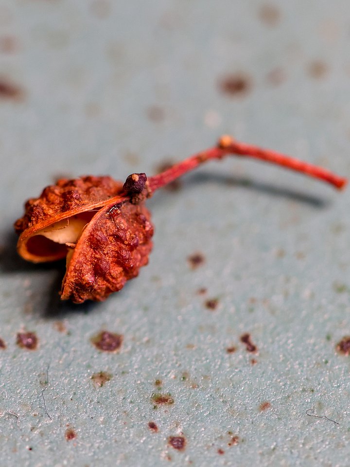 Poivre de Sichuan Rouge 150g product image (1)