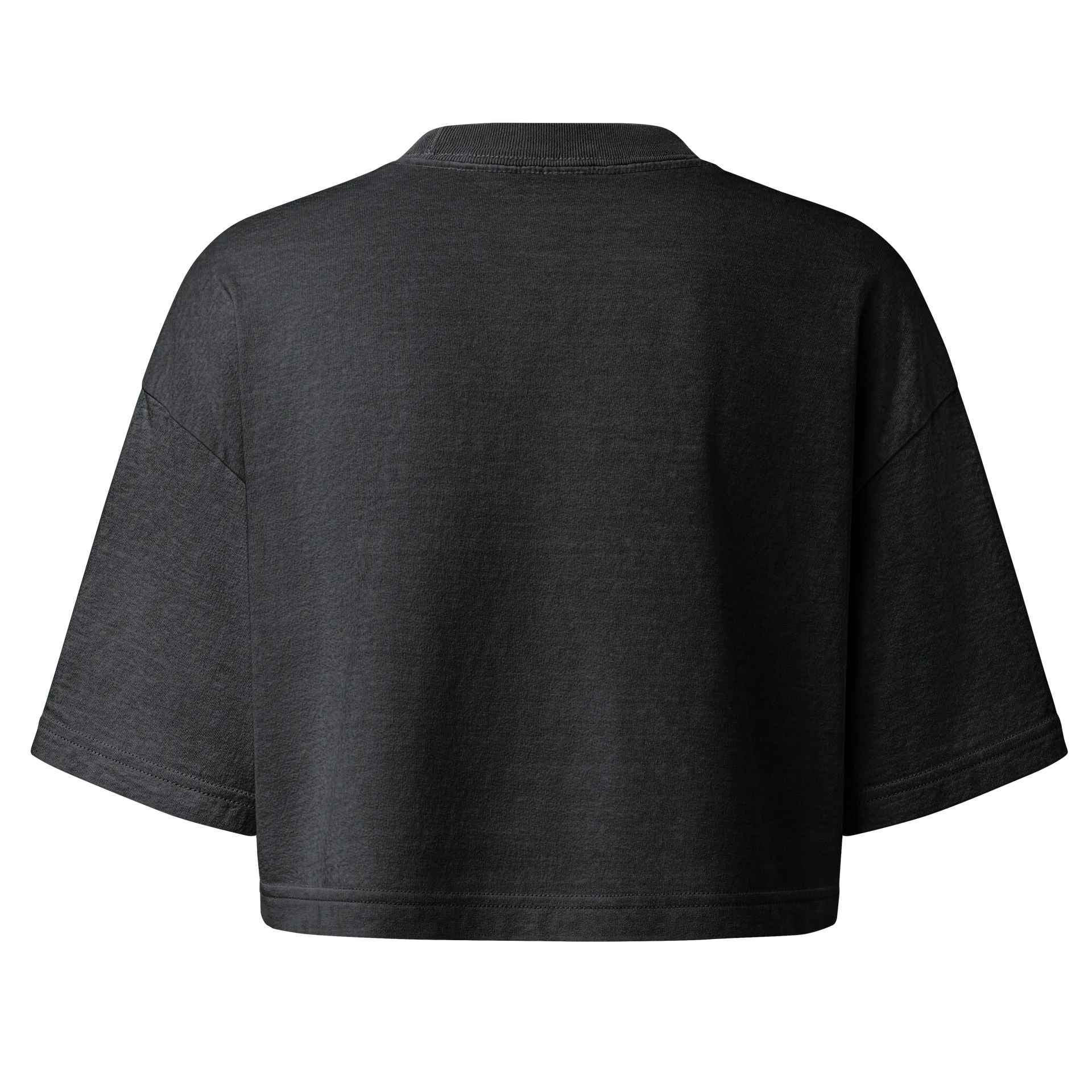 Pr1nceX Cyber Sonics Emblem Crop Tee product image (2)