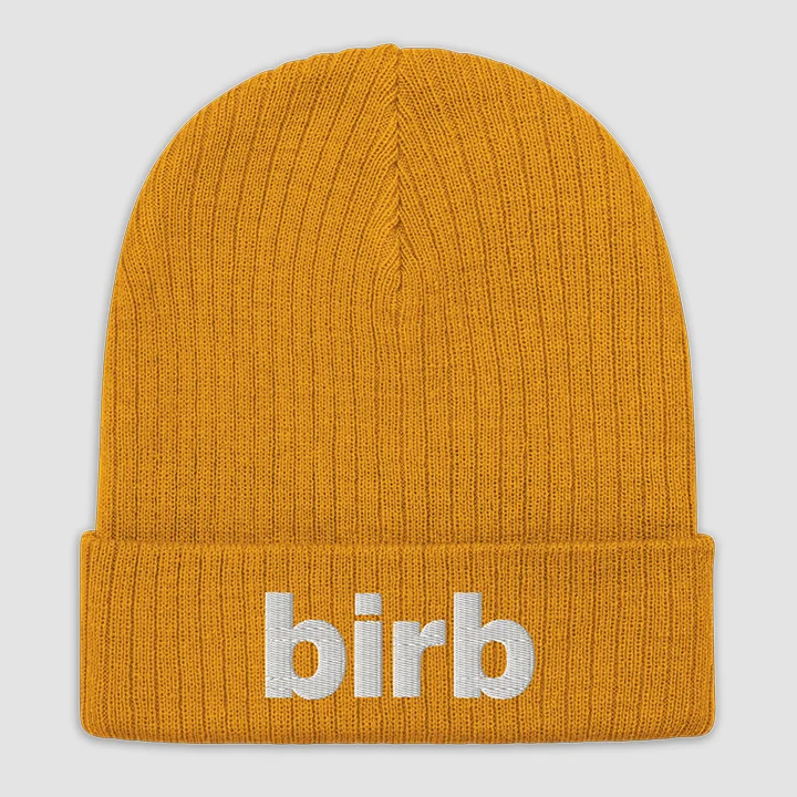 birb beanie product image (2)
