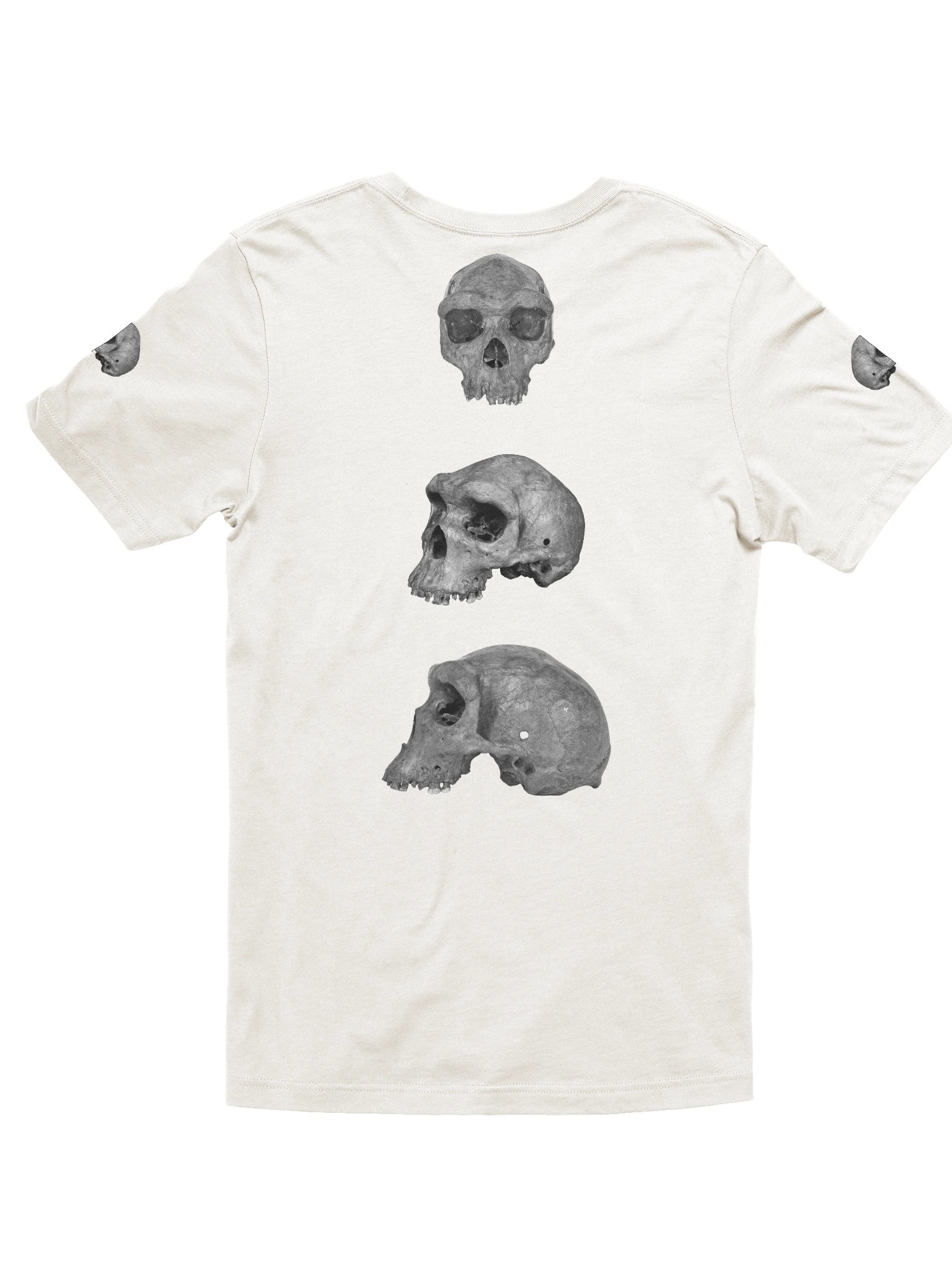 Heidelbergensis Fossil Skull T-Shirt Light product image (10)