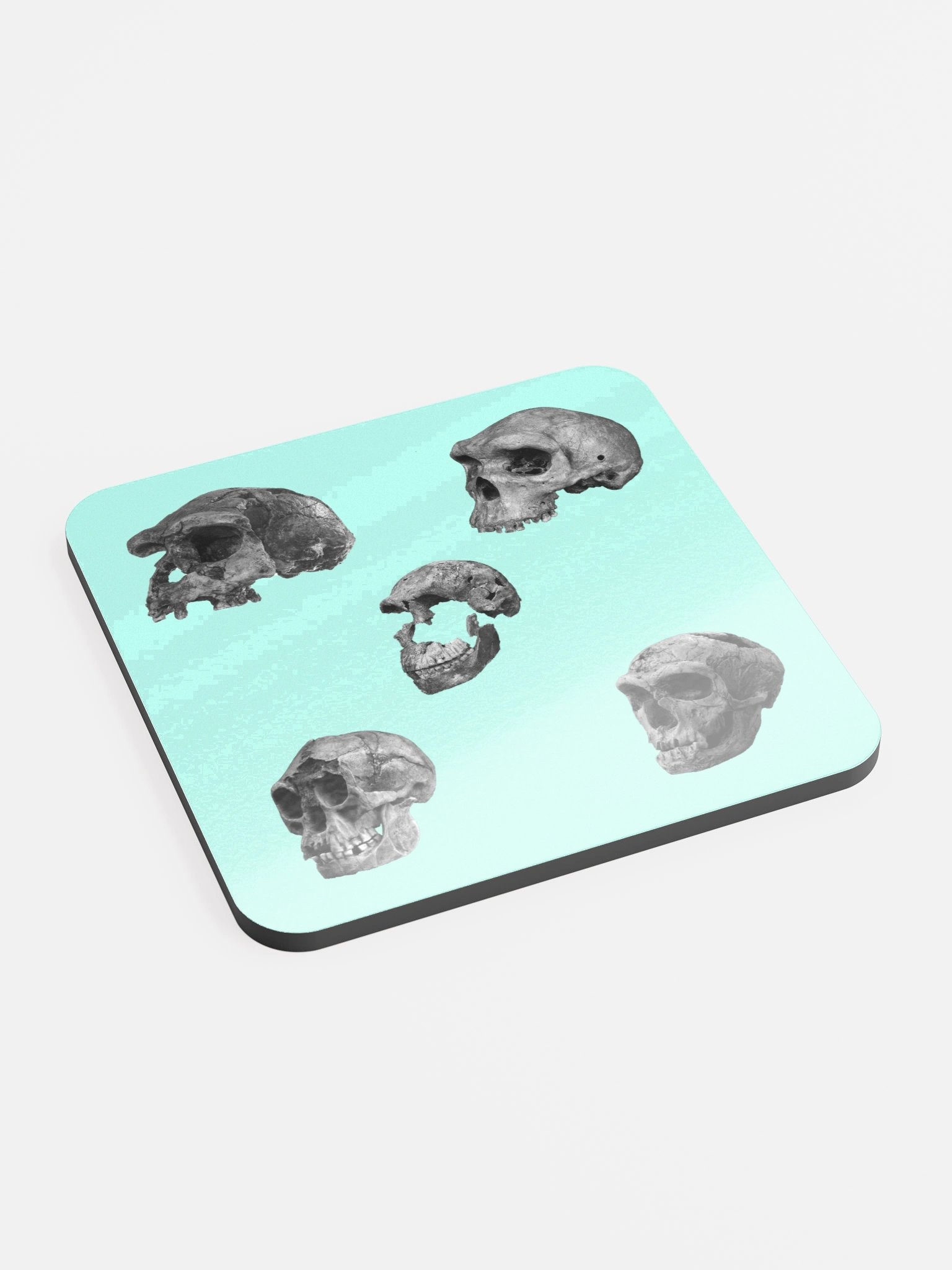 Skulls Coaster product image (2)
