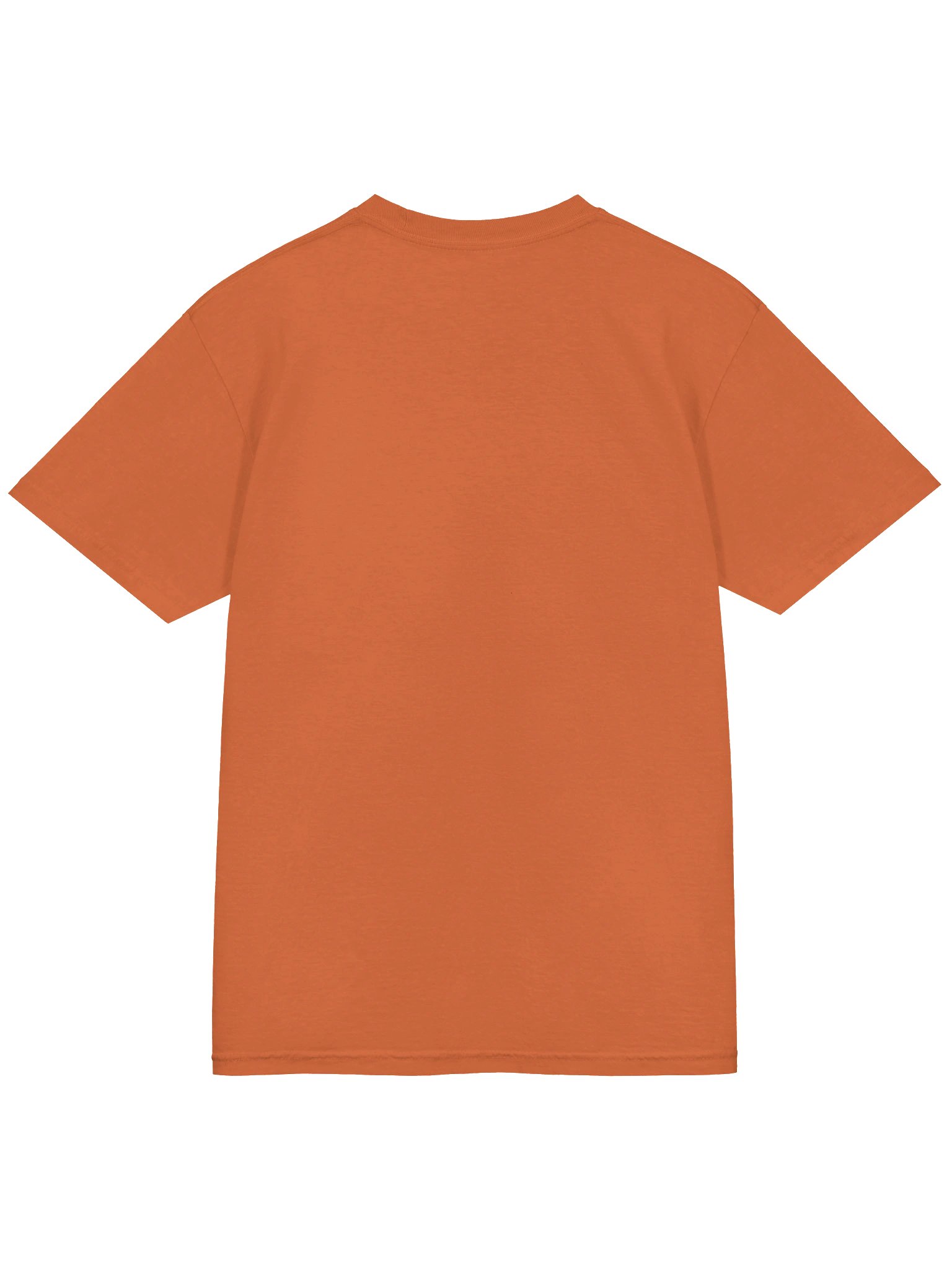 The World Is Yours T-Shirt – Orange product image (4)