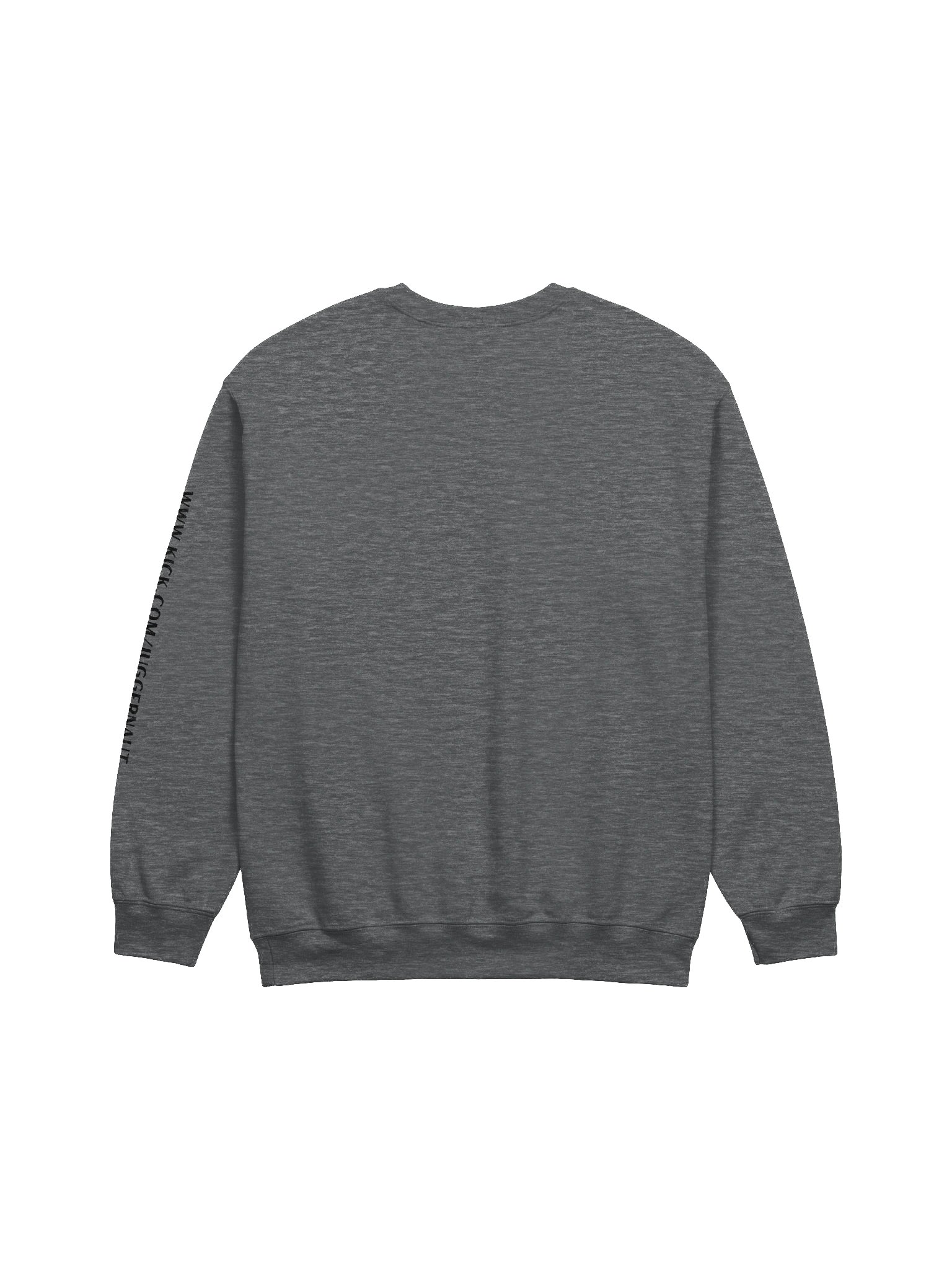 AOJ Sweatshirt product image (8)