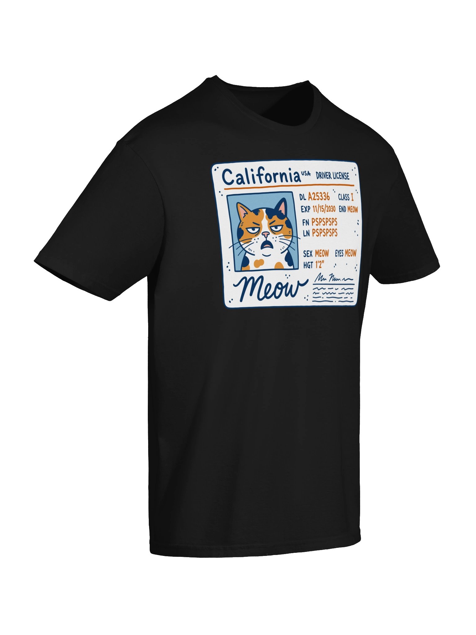Driver's License Tee product image (7)
