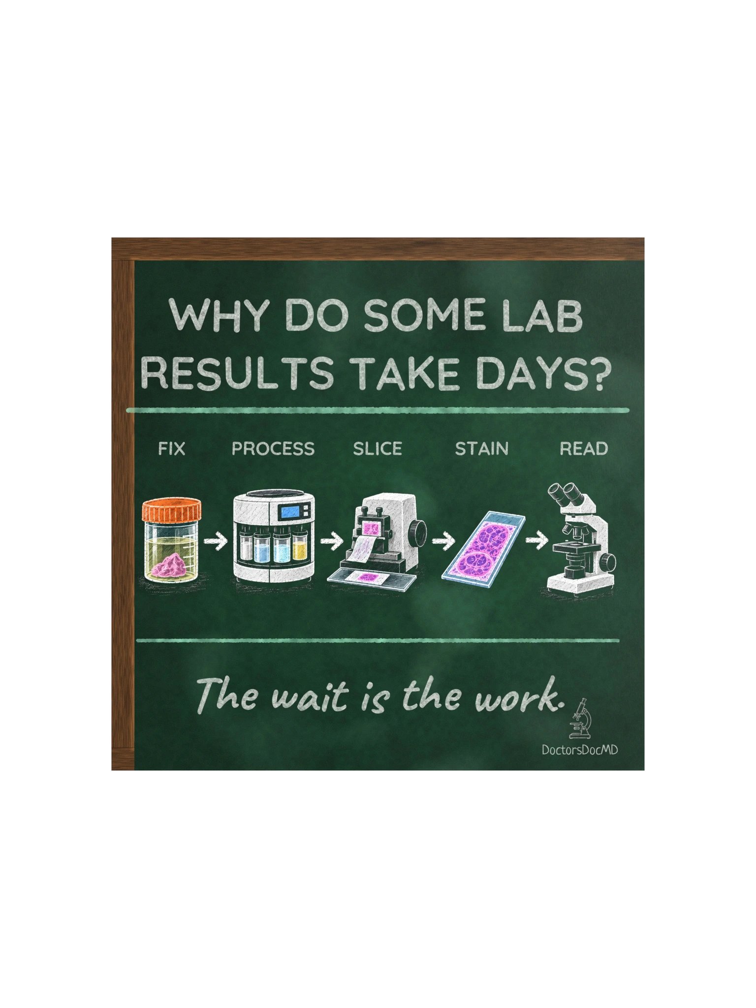 DoctorsDocMD - Why Lab Results Take Days Poster product image (1)
