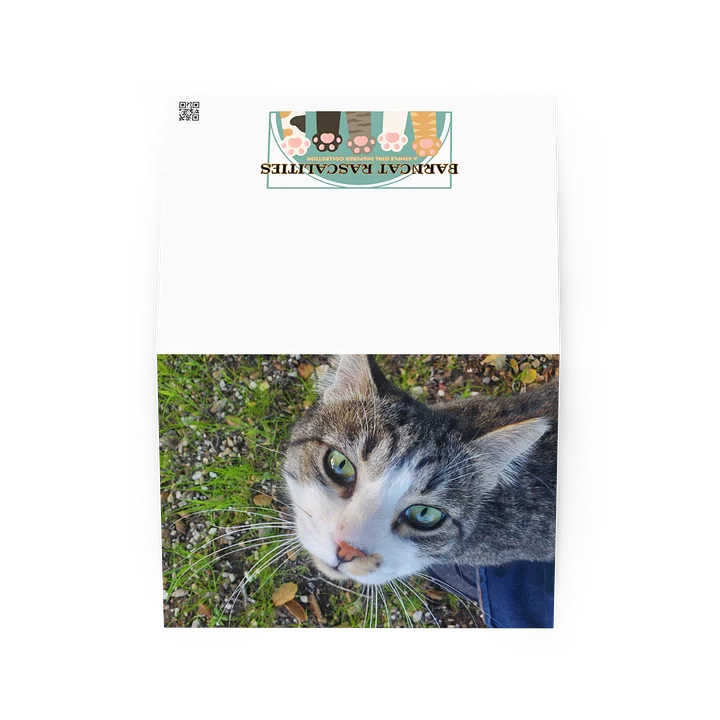 Banjo Says HELLO! product image (2)