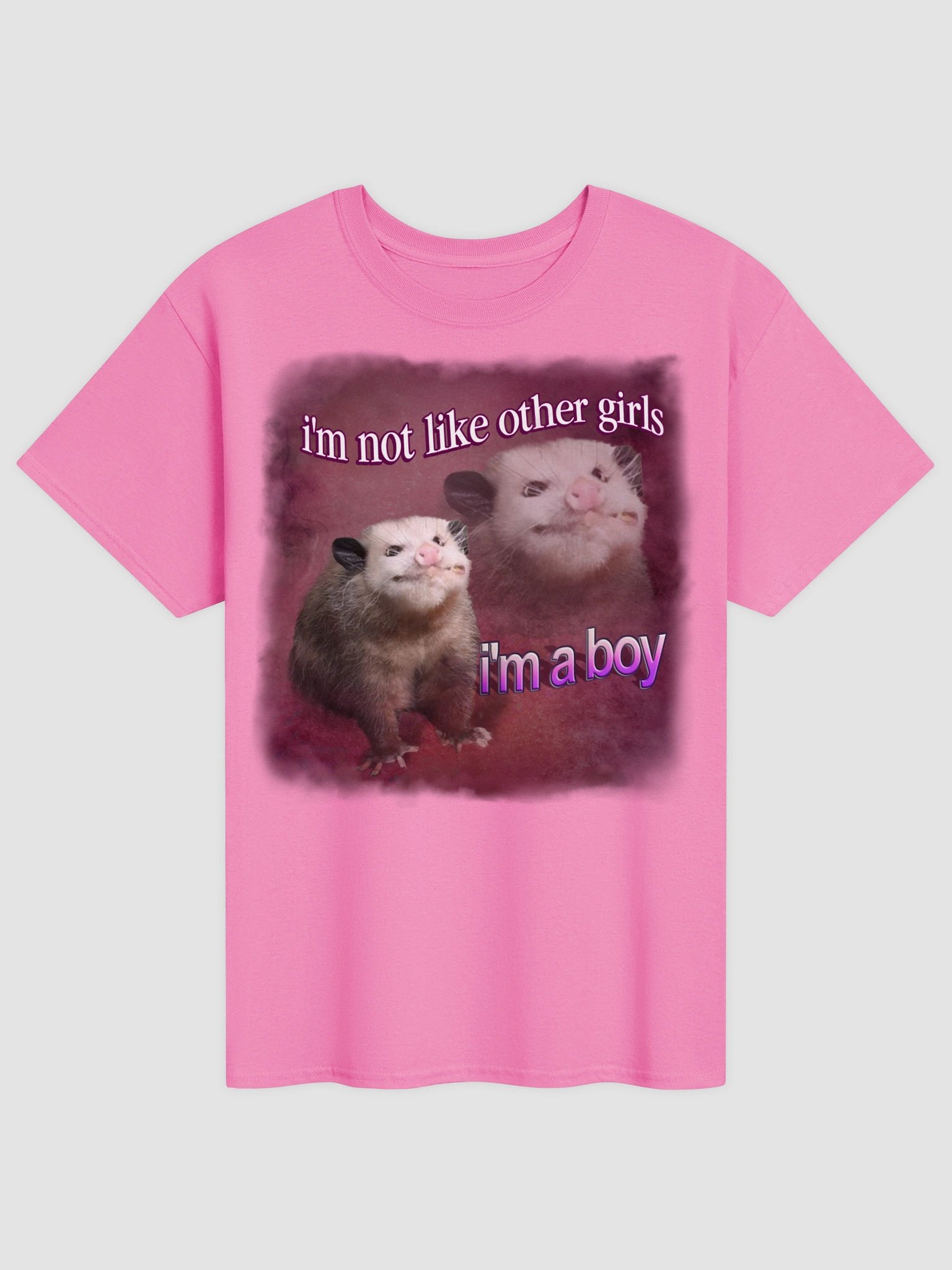 I'm not like other girls, I'm a boy possum T-shirt product image (1)