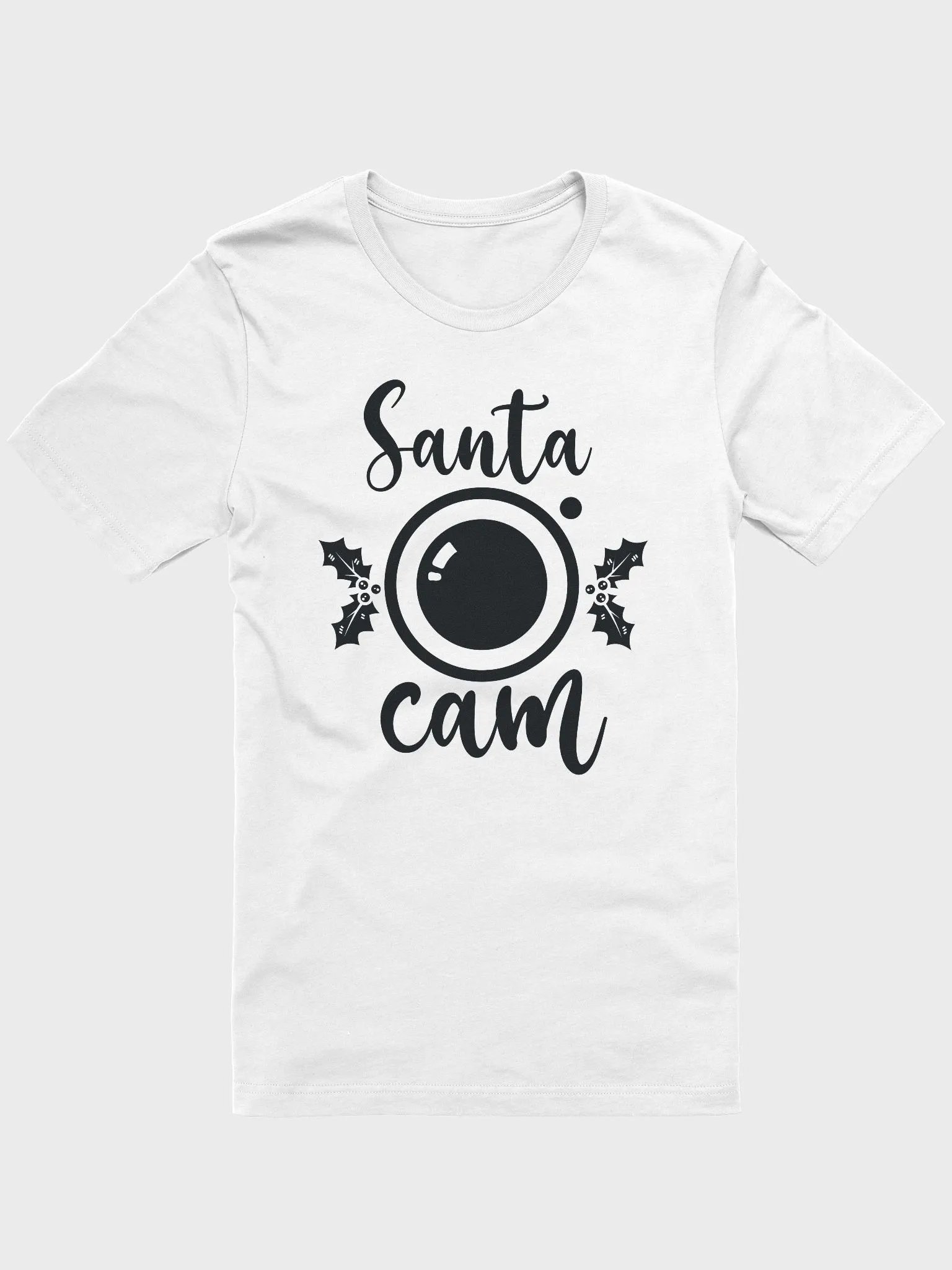 Santa Cam product image (1)