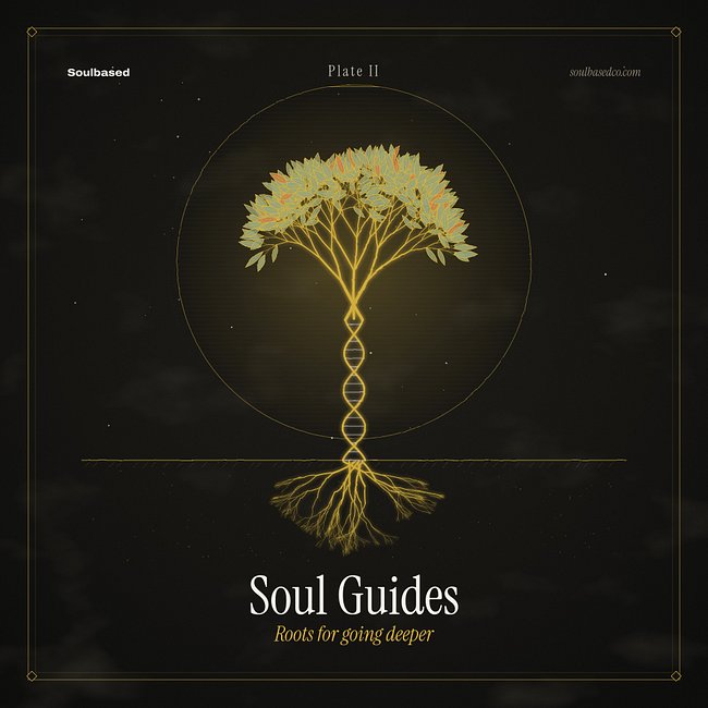 Soul Guides