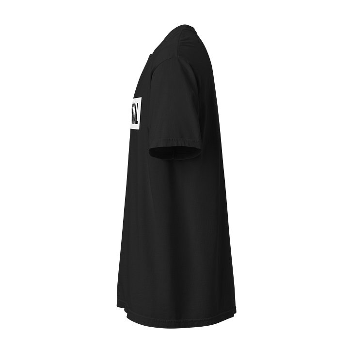 Essential Graphic T-Shirt product image (11)