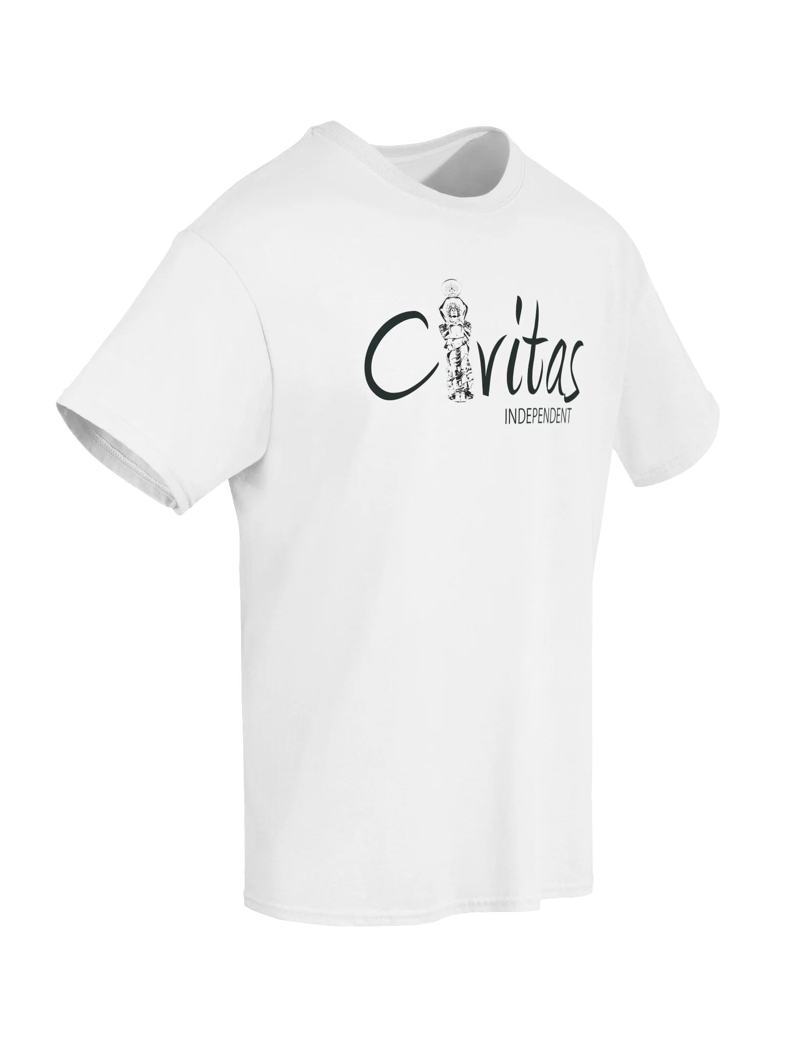 Logo T-Shirt (Black Logo) product image (6)