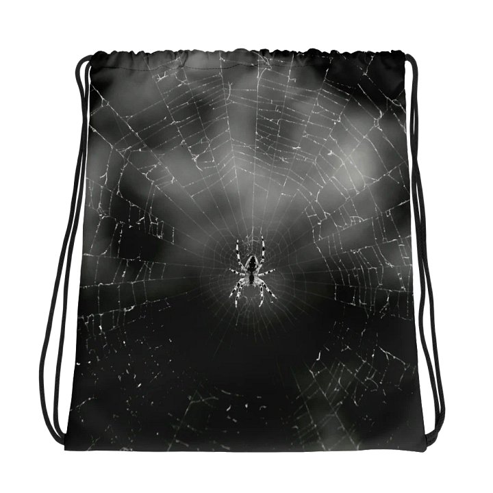 Drawstring bag - Spider in the web, monochrome product image (1)