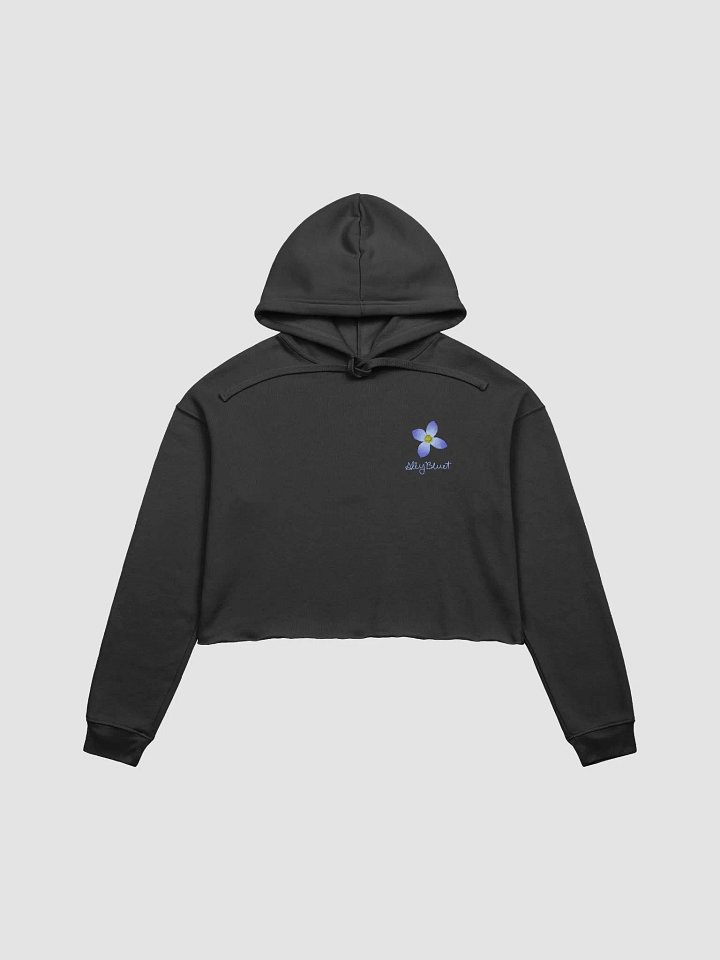 AllyBluet Crop Hoodie product image (1)