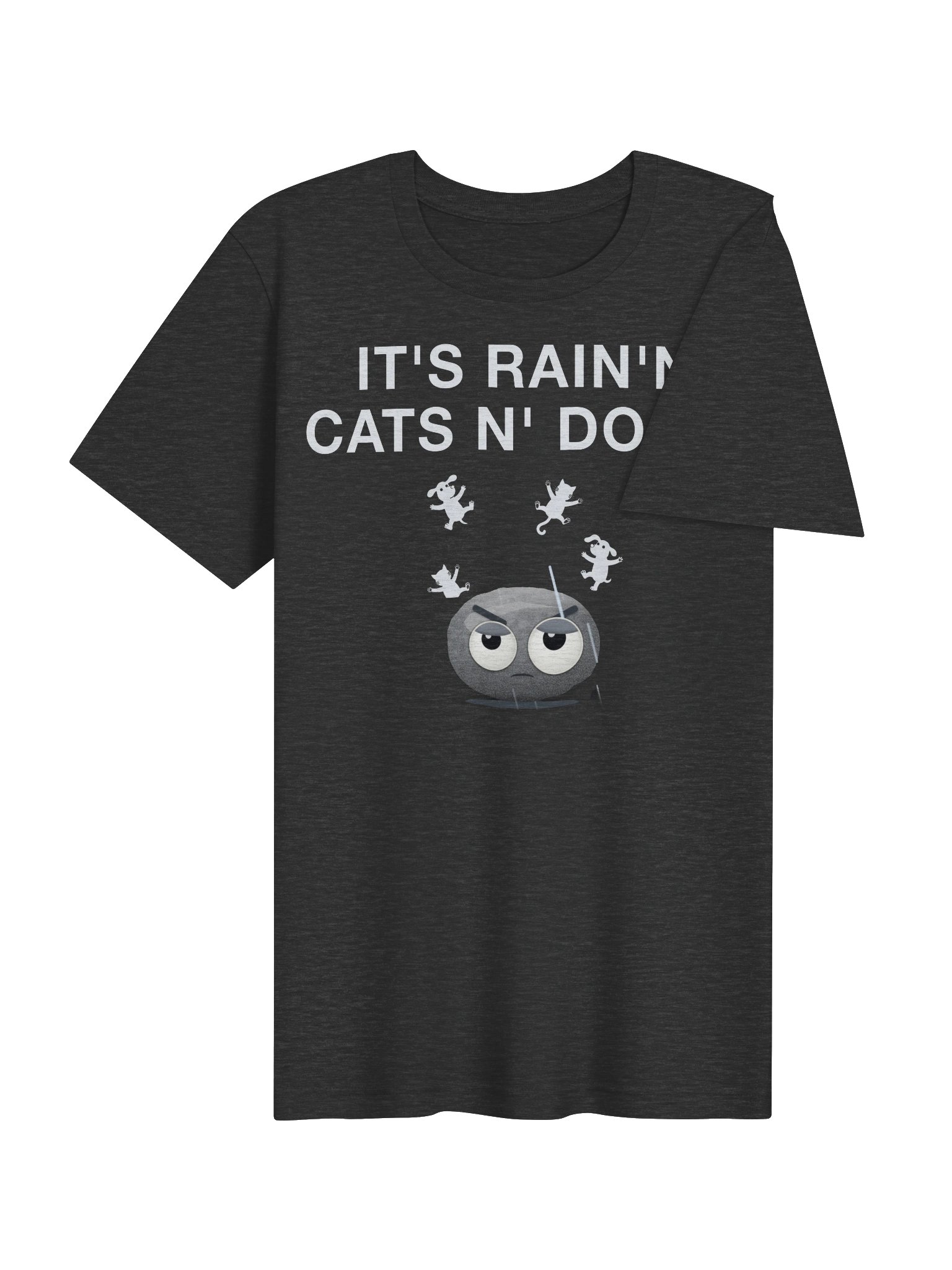 It's Rain'n Cats N' Dogs! T-Shirt product image (4)