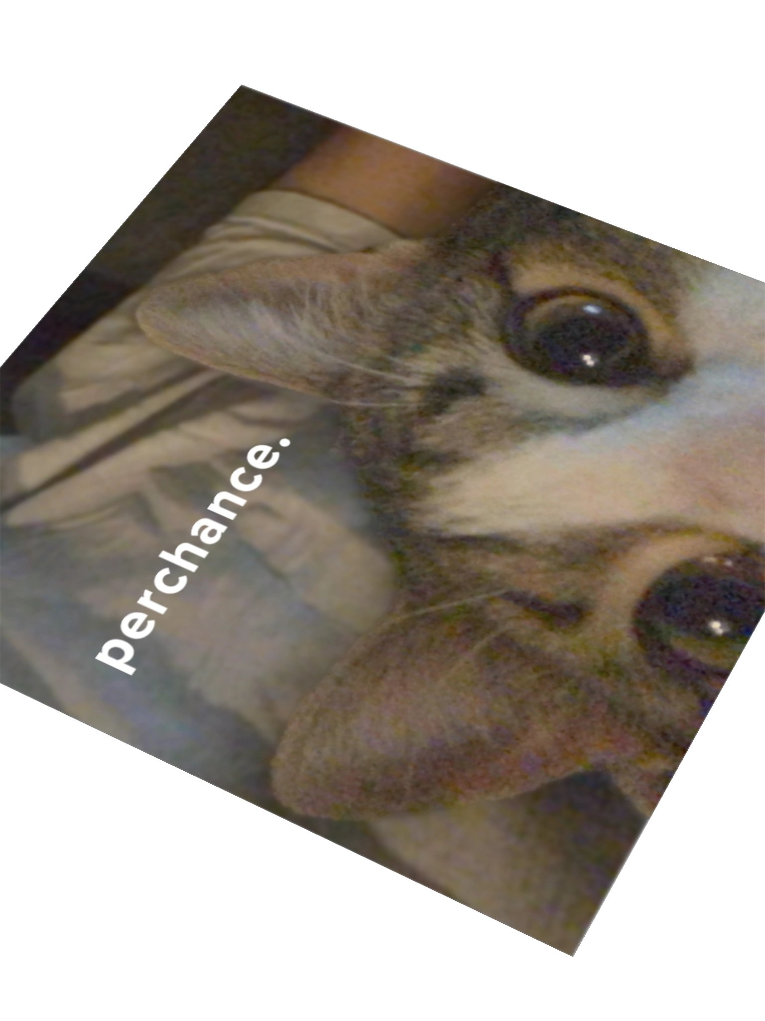 Perchance? product image (6)