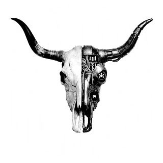 Cure for Paranoia
