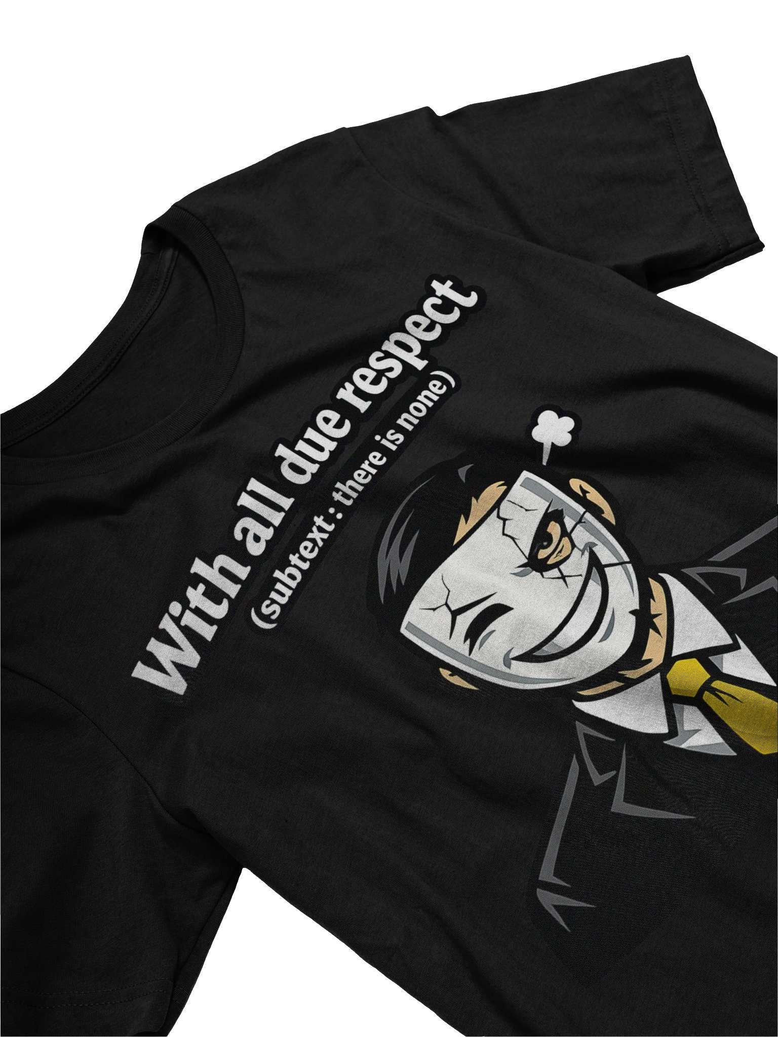 Respectful Disguise T-Shirt product image (20)