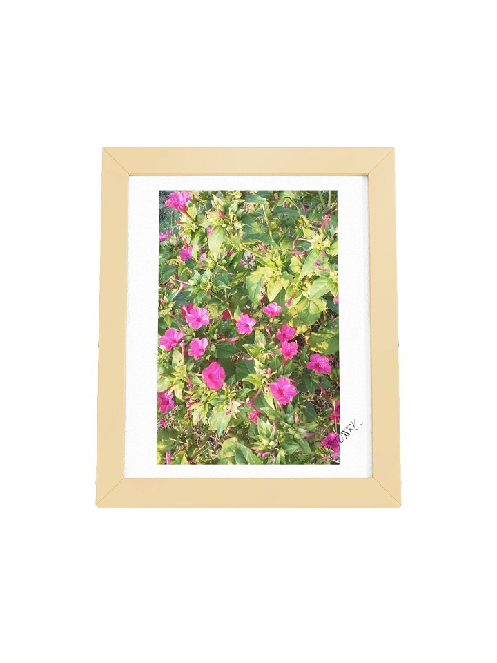 Megi - Fine Art Botanical Matte Poster product image (1)